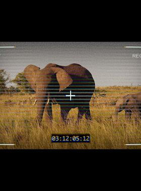 视频素材复古电视雪花噪点波纹REC录制时间码屏幕叠加MG152