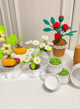 迷你简约车载花朵多肉玫瑰向日葵植物盆栽手工毛线钩针编织用花盆