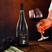 智利原瓶进口红葡萄酒750ml 瓶正品 13.5%vol守护者西拉干红葡萄酒