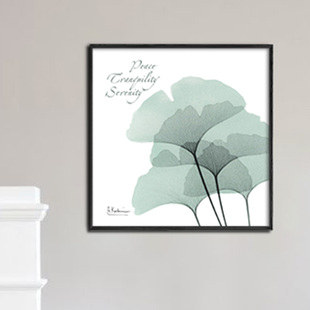 X线透视透明植物花朵白色正方形纯棉油布画芯喷绘客厅书房装饰画