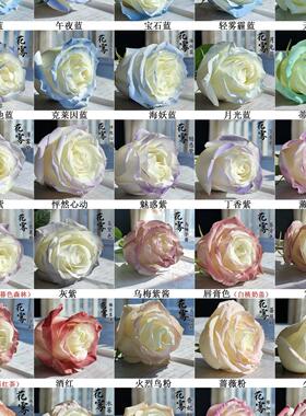 鲜花彩喷彩绘喷色喷漆60色450ml速干不伤花清香无腐蚀性碎冰蓝