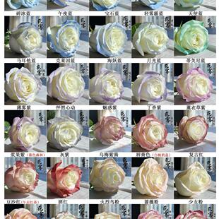 鲜花彩喷彩绘喷色喷漆60色450ml速干不伤花清香无腐蚀性碎冰蓝