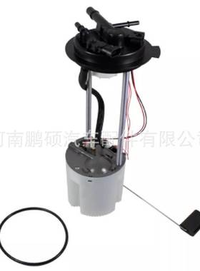 E3752M M10145 M10211 P76286M 适用于雪佛兰燃油泵总成 泵芯