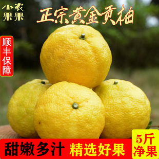 春香桔柚新鲜特产高档水果黄金贡柚象山小柚子甜橘柚
