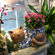 饰阳台 动物猫咪花盆大号摆件多肉植物可爱大口径盆栽花园庭院子装