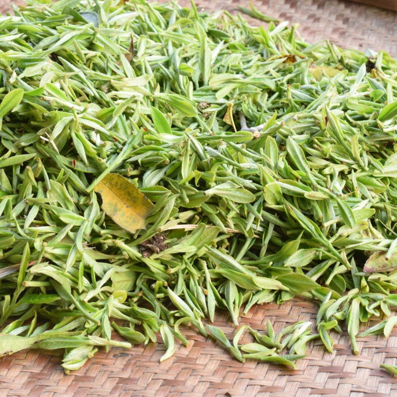 福建特級白茶荒野2025年小仙女