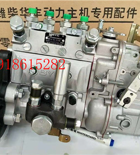 北京天玮BYC亚新科油泵潍柴4108华丰AD喷油泵总成全新原厂