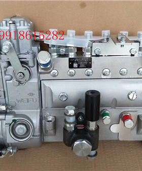 原厂无锡威孚锡柴6110喷油泵总成高压油泵6AW831大泵