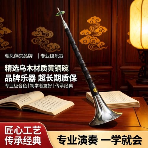 朝凤燕京唢呐初学者全套音准耐用