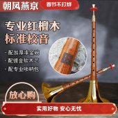 唢呐乐器全套高档红檀木专业八孔降B红白事大音量成人儿童入门D调