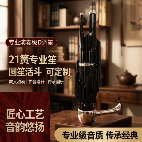 专业演奏级21d调独奏笙可定做