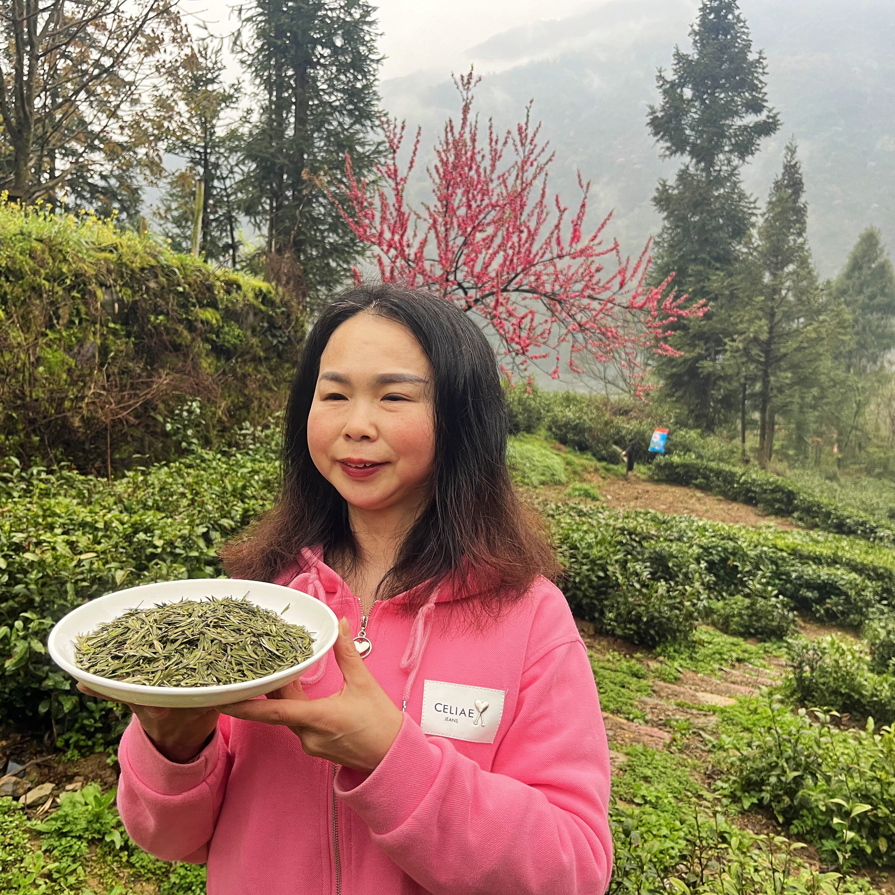 2025芽毛尖明前高山云雾神农架绿茶新茶群体种老茶树茶叶