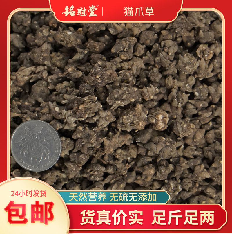 野生 猫爪草
