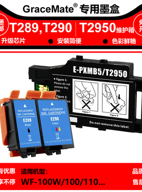 T289 T290墨盒爱普生WF-100/110W PX-S05 S06打印墨水T2950维护箱