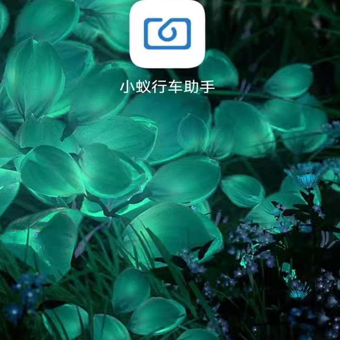 小蚁行车记录仪app 小蚁行车助手app下载服务 改版无登录页面