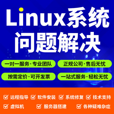 Linux问题解决 centos ubuntu系统技术服务器软件虚拟机安装维护