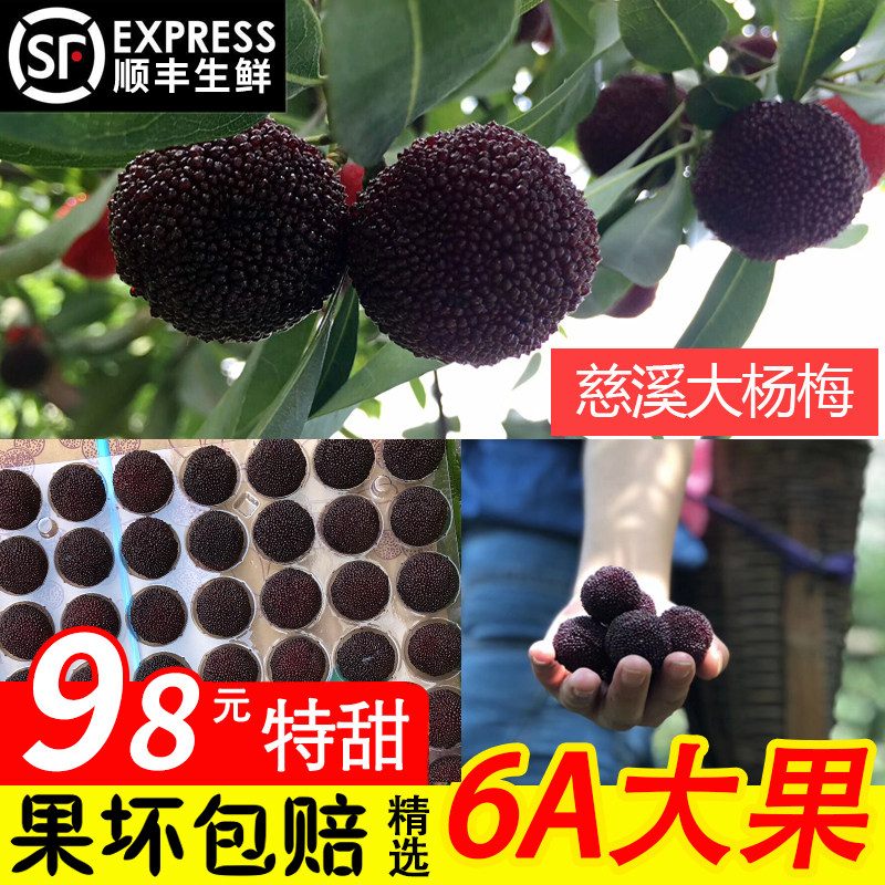 宁波慈溪余姚杨梅新鲜孕妇当季鲜果送礼黑炭东魁荸荠水果礼盒顺丰