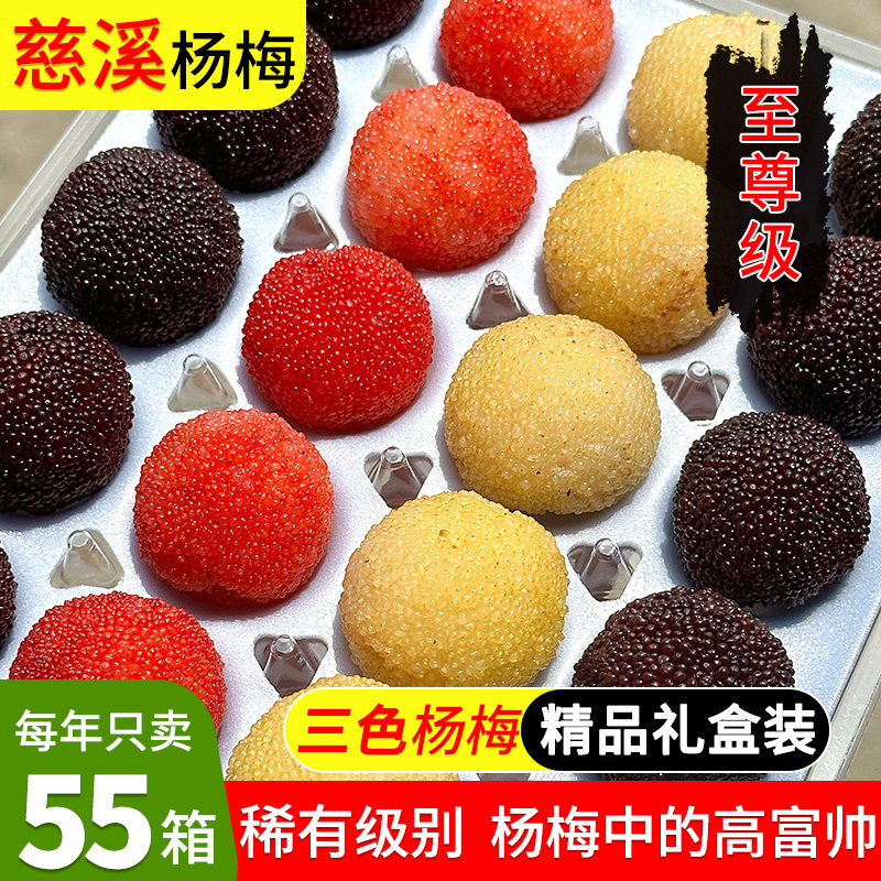 【三色】至尊级品质新鲜杨梅特甜余姚慈溪鲜果现摘黑炭水果礼盒装