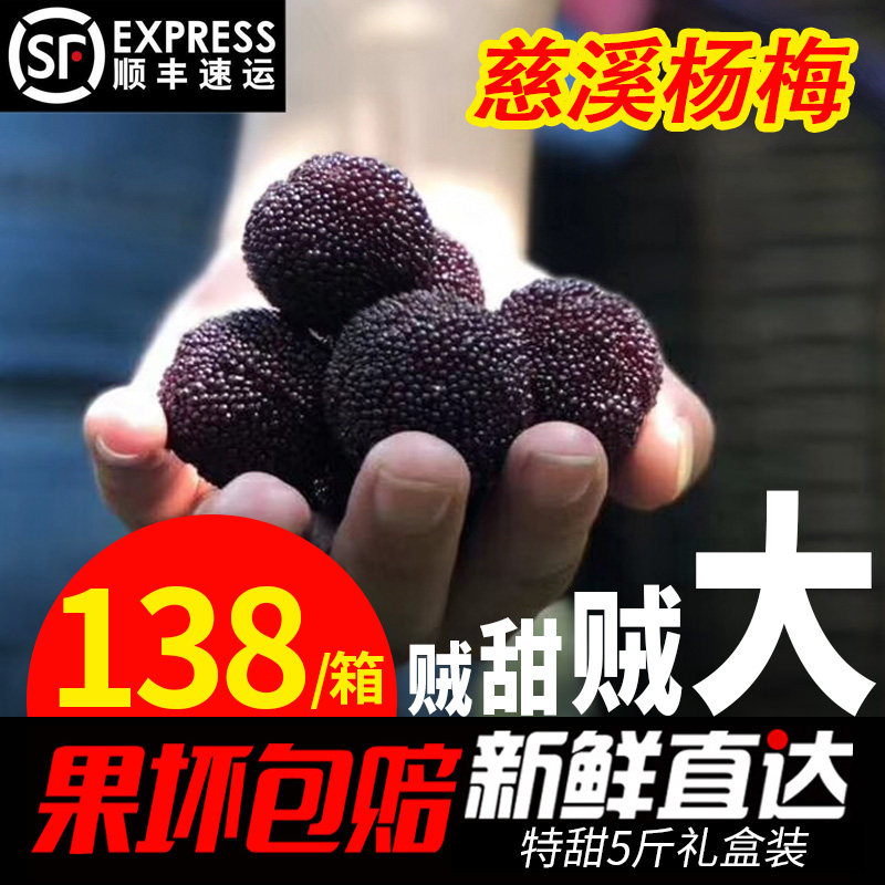整箱5斤慈溪余姚高山杨梅新鲜水果荸荠黑炭新鲜杨梅顺丰鲜果现摘