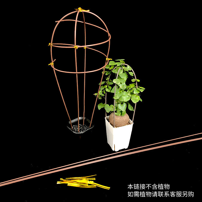 方形万象盆小黑方多肉植物花托盘圆形育苗盘塑料园艺铁线可搭花架