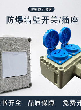 防爆插座220V 10A16A明装暗装墙壁86型 单双开三开 工业照明开关