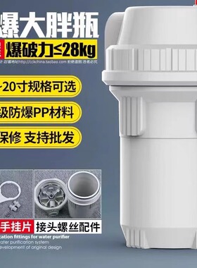 前置过滤器大胖10寸滤瓶6分口全屋净水PP棉防爆抗压去泥沙杂志