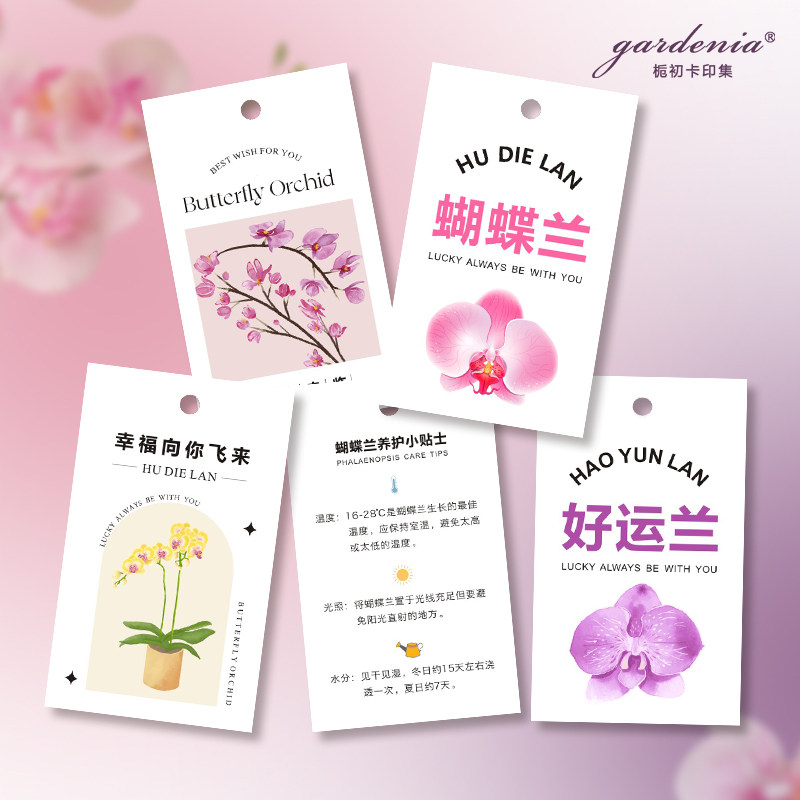 蝴蝶兰吊牌定制 花艺粉色吊牌鲜花保养吊卡 创意盆栽养护说明挂卡