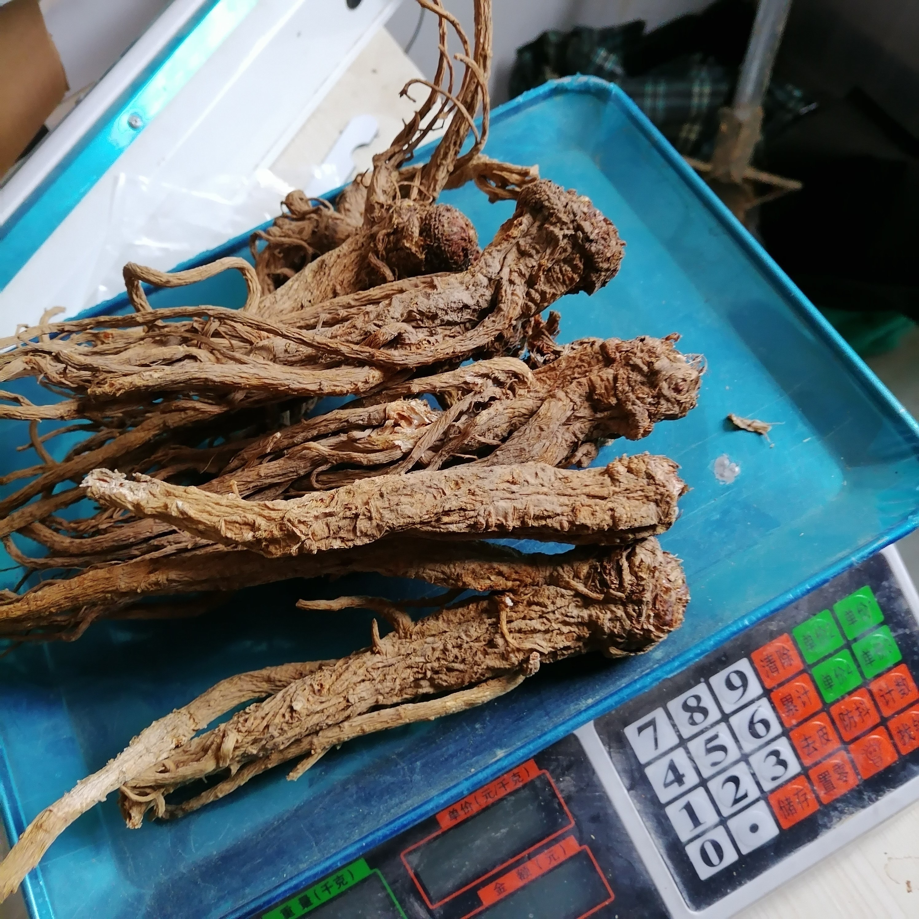 特大条当归500克湖北恩施纯干无硫无添加烘干药材补身体农产品