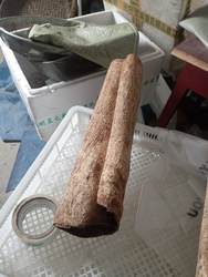 500克紫油厚朴刮粗皮好质量约4毫米厚湖北恩施高山特色农产品药材