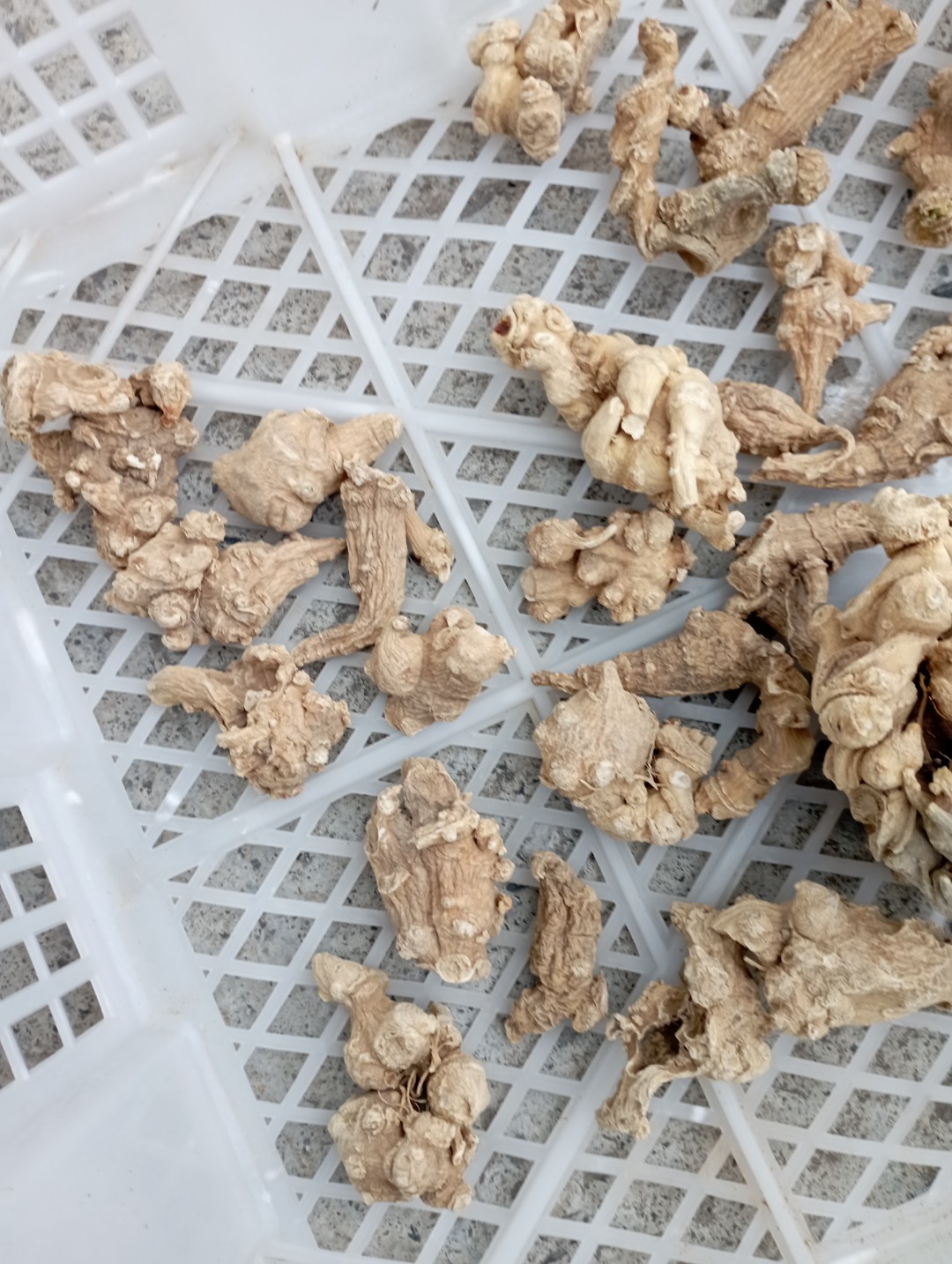 半斤竹节参纯干无硫货湖北特产药材白三七补身体泡酒煲汤250克