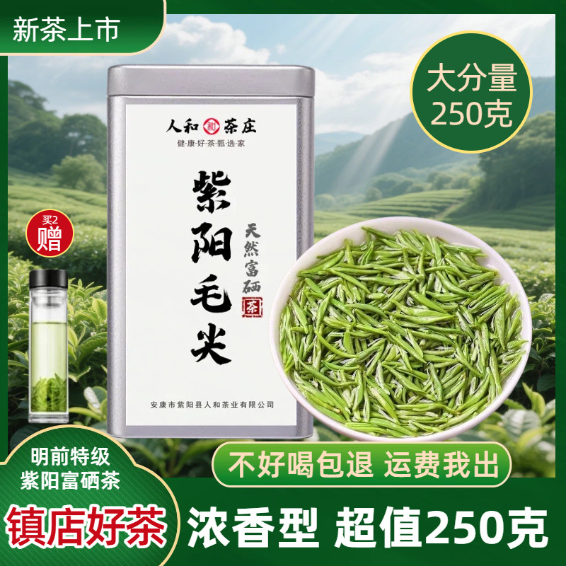 绿茶2026新茶紫阳毛尖250g陕西安康紫阳富硒茶明前板栗香散装嫩芽