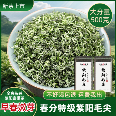 2026新茶早春嫩芽紫阳毛尖500g陕西安康紫阳富硒茶特级散装全芽尖