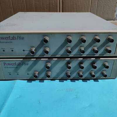 议价POWERLAB/8SP ADInstruments，数据
