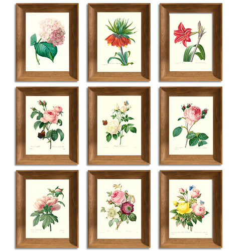 美式现代简约可定制植物花卉图鉴