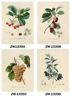 美式小清新风植物水果餐厅无框画
