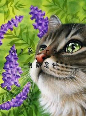 HAEIAG2606 Purple Vetch紫薇花猫*法国正品DMC十字绣自配套件