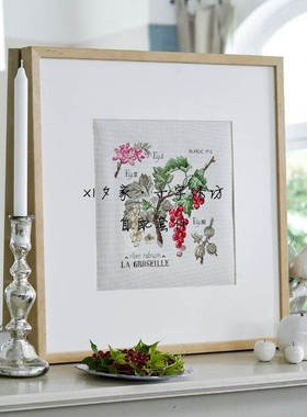 图纸打印 欧美杂志法国正品DMC十字绣自配套件 DFEA阴影花-葡萄