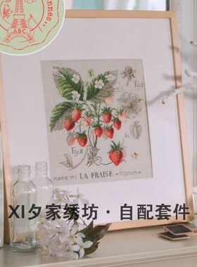 欧美风杂志 法国正品DMC十字绣自配套件 DFEA阴影花-草莓