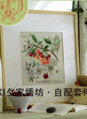 欧美风杂志 法国正品DMC十字绣自配套件 DFEA阴影花-樱桃