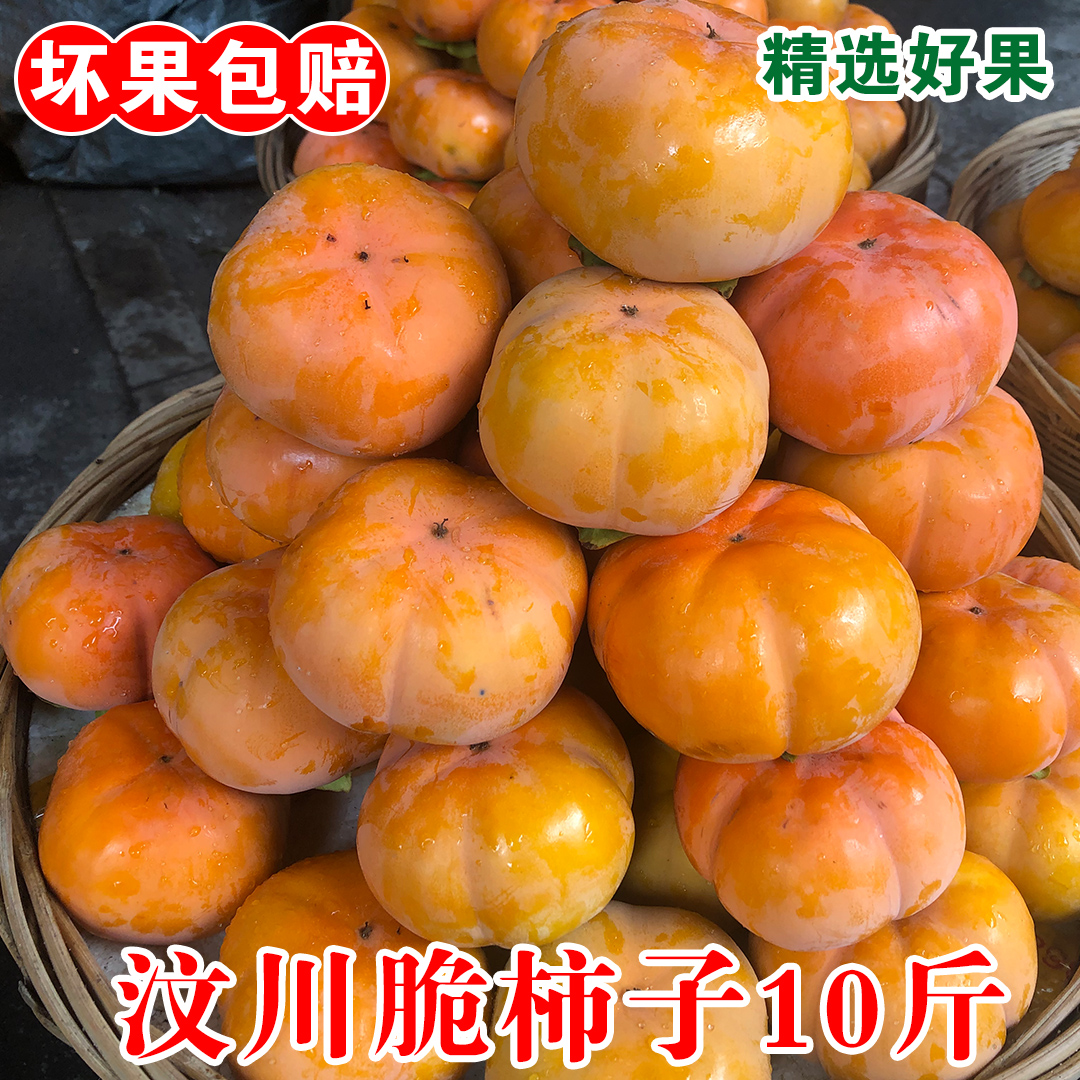 汶川脆柿子阿坝州新鲜脆甜水果巧克力柿子5斤10斤包邮