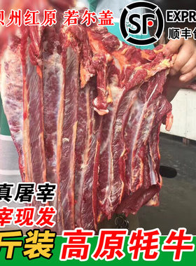 四川新鲜现杀牛腿肉顺丰包邮