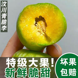 四川茂县汶川青脆李现摘空心脱骨脆李子新鲜脆甜水果5斤装包邮