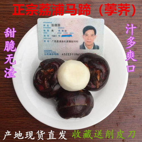 9年老店特大荔浦马蹄荸荠新鲜即食水果蔬菜甜脆饽荠广西桂林特产