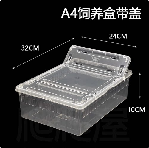 爬虫饲养盒A4盒柜有盖爬柜爬宠蜘蛛蝎子蜥蜴乌龟蛙掌上名蛛饲养盒
