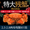 活蟹残蟹8只固城湖大闸蟹鲜活螃蟹断脚蟹残蟹母2.5 2.8两公3.5两