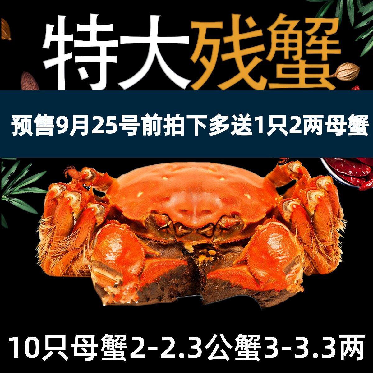 【活蟹】残蟹固城湖大闸蟹10只