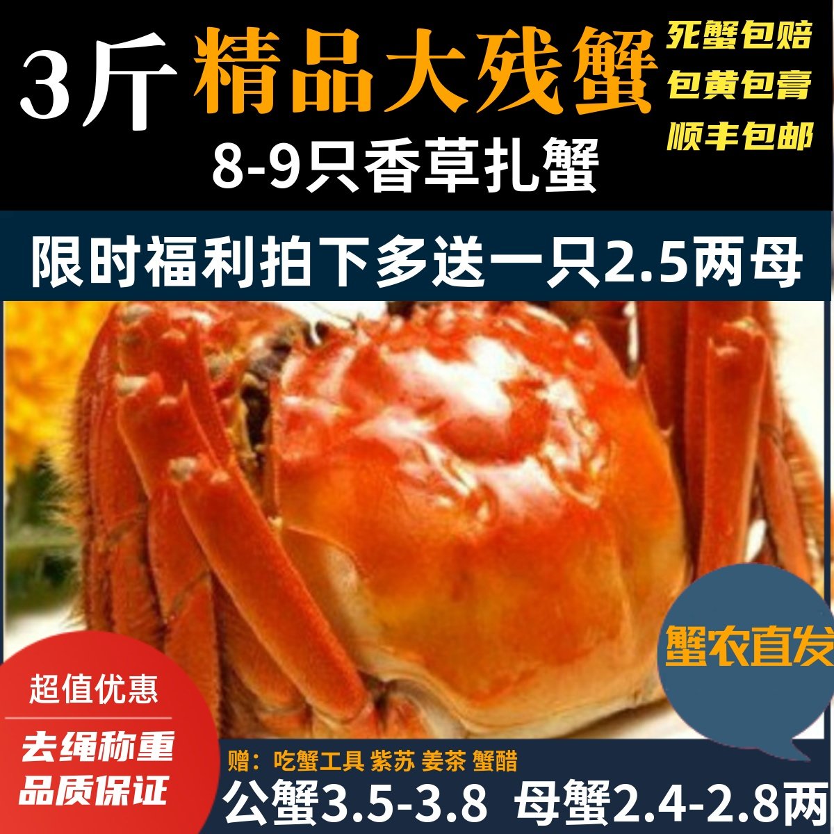 活蟹残蟹】固城湖大闸蟹螃蟹断脚残蟹公蟹3.5-3.8两母蟹2.5-2.8两