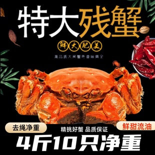 活蟹残蟹净重10只4斤公断脚断腿蟹固城湖大闸蟹大残次蟹鲜活螃蟹