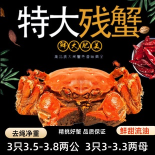活蟹残蟹裸重公蟹3.5 3.3两鲜活残蟹缺腿蟹断脚蟹6只 3.8两母蟹3
