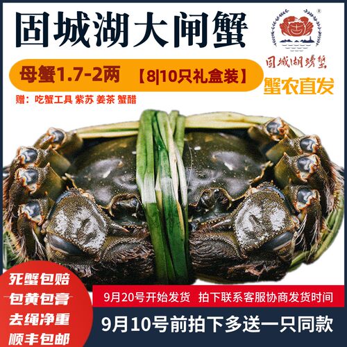 活蟹精品礼盒去绳净重母蟹
